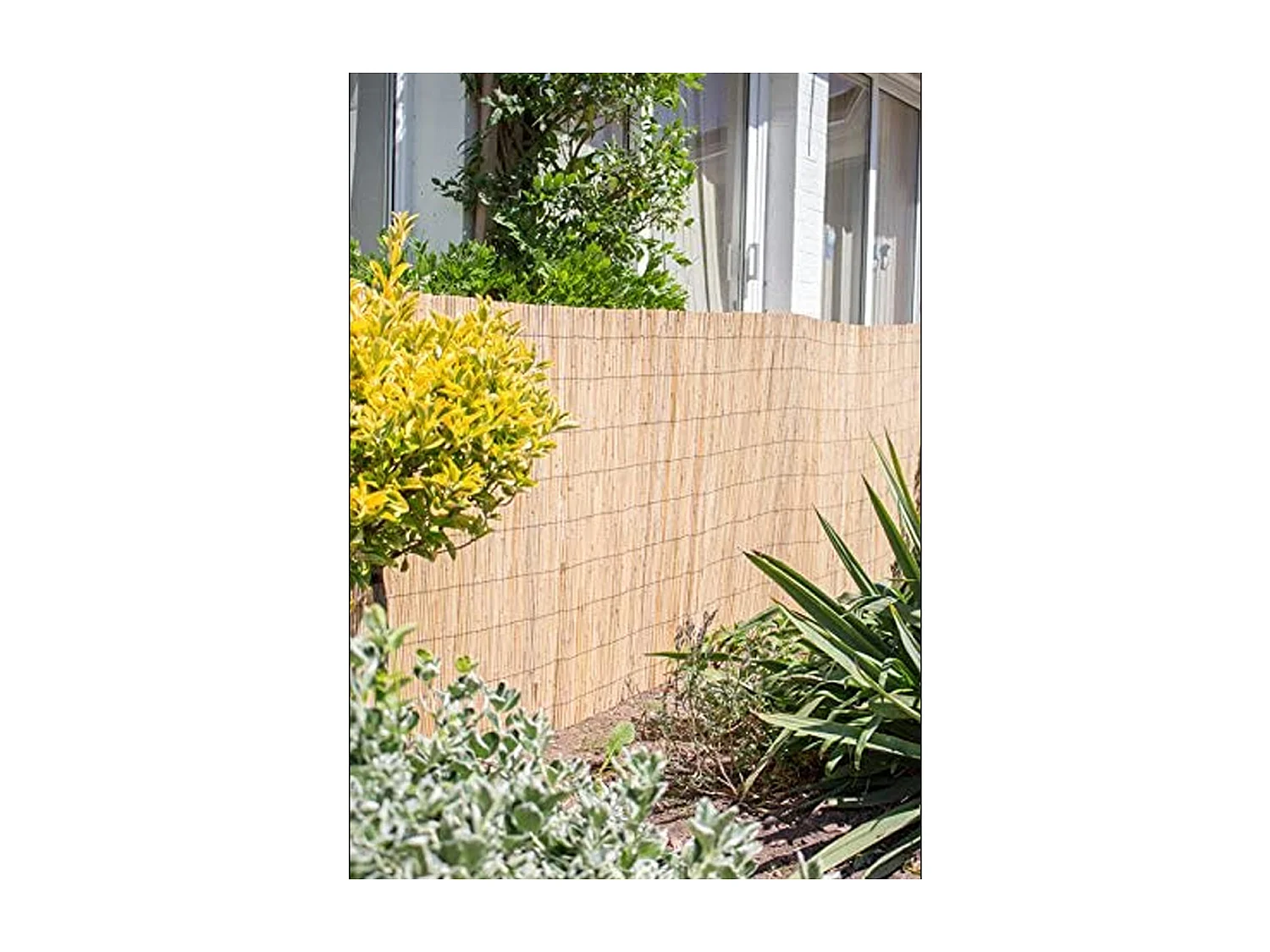 Lot de 4 canisse en bambou, clôture de jardin, couverture de protection contre le vent et le soleil - Longueur 500 x Profondeur 150 cm