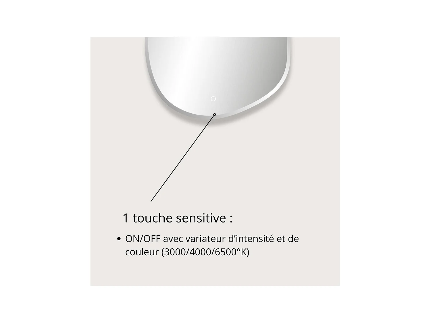 FLUEA Organische LED-spiegel D60/80cm met afgeschuinde randen