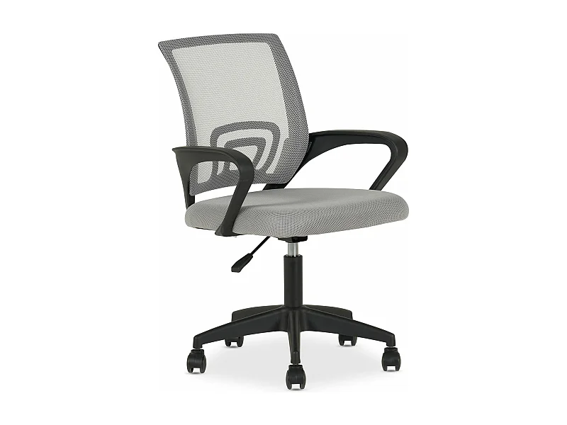Chaise de bureau ergonomique JAKE Gris Réglable en hauteur avec Accoudoirs, Assise Rembourrée Confortable