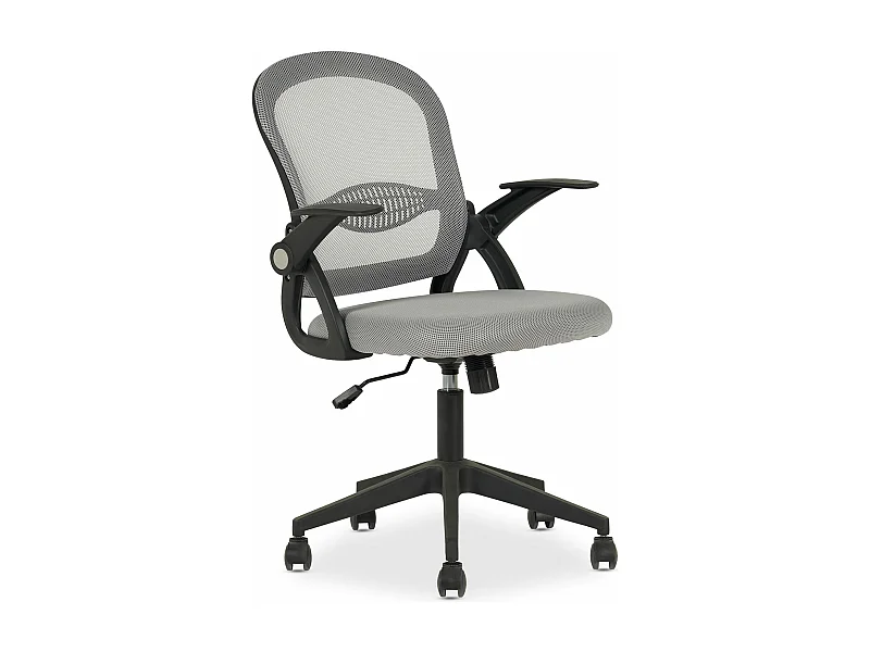 Chaise de bureau ergonomique EREN Gris Réglable en hauteur avec Accoudoirs, Assise Rembourrée Confortable