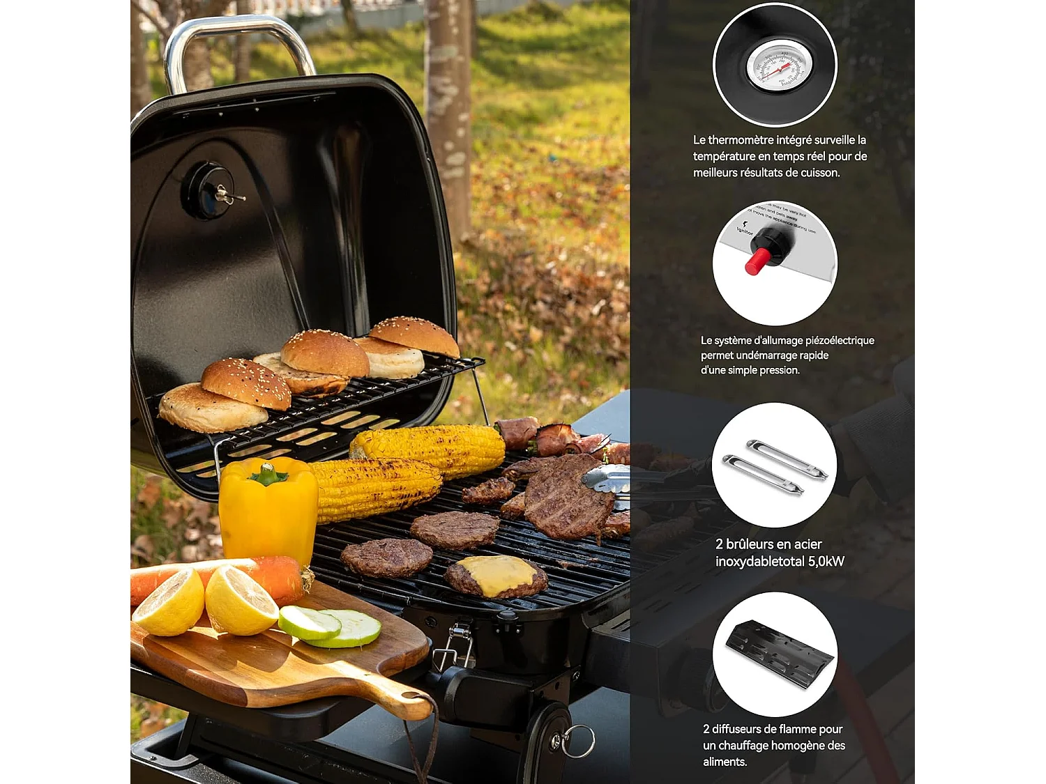 Barbecue Gaz Portable Royal Gourmet - Barbecue Grille avec Tables Latérales Pliables et Couvercle, 2 Brûleurs de Puissance 5kW
