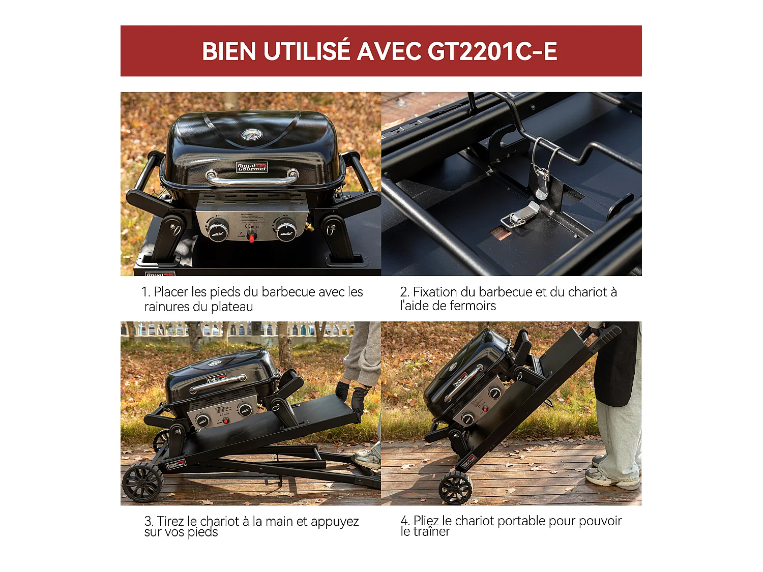 Barbecue Gaz Portable Dont Chariot Détachable Royal Gourmet - 2 Brûleurs Puissance 5kW, Surface Cuisson 48 x 37 cm