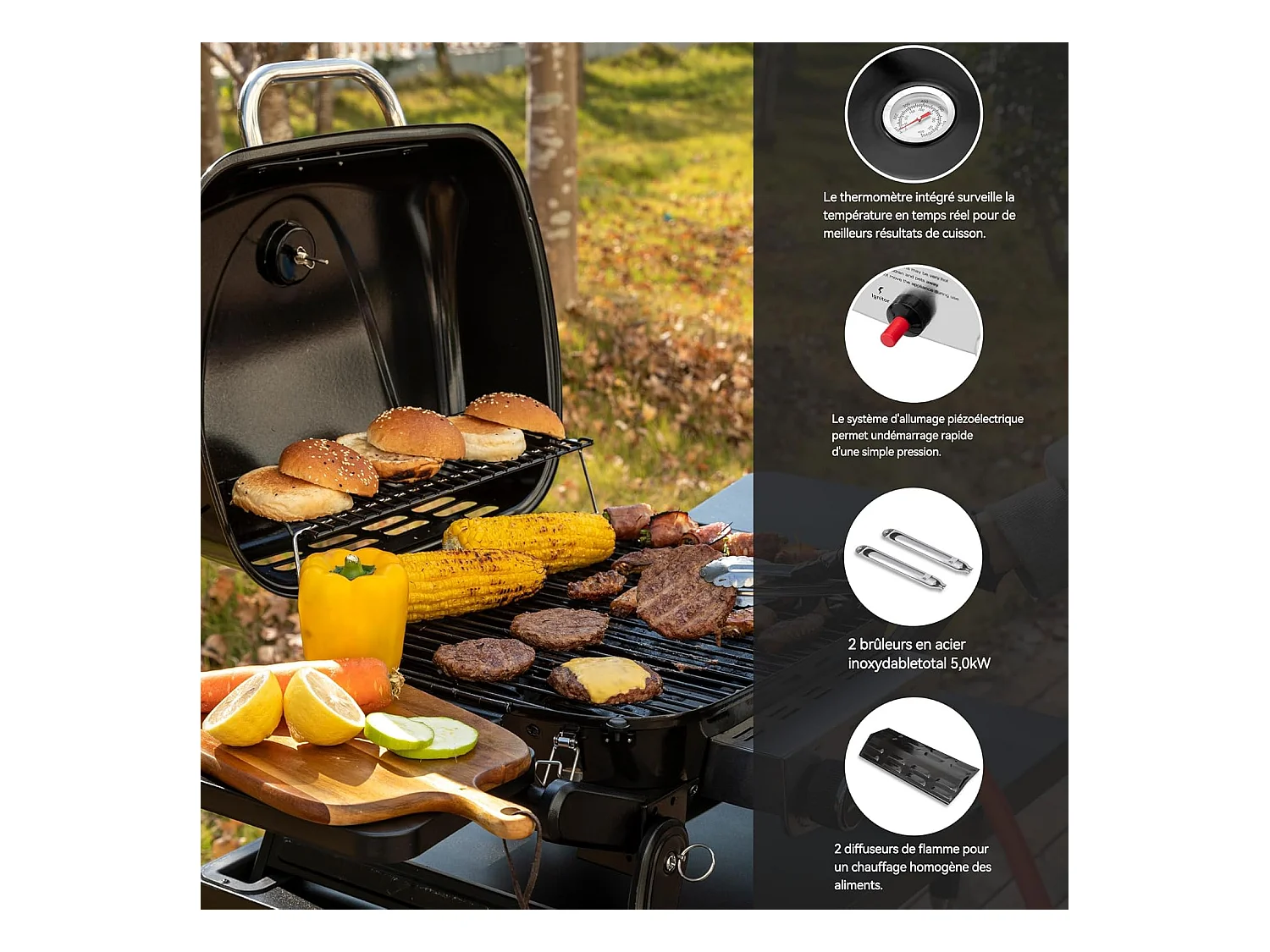 Barbecue Gaz Portable Dont Chariot Détachable Royal Gourmet - 2 Brûleurs Puissance 5kW, Surface Cuisson 48 x 37 cm