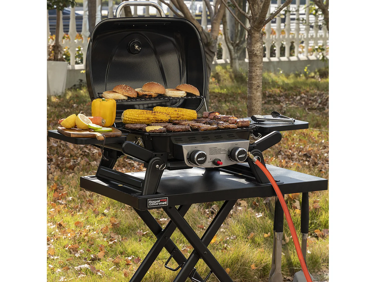 Barbecue Gaz Portable Dont Chariot Détachable Royal Gourmet - 2 Brûleurs Puissance 5kW, Surface Cuisson 48 x 37 cm