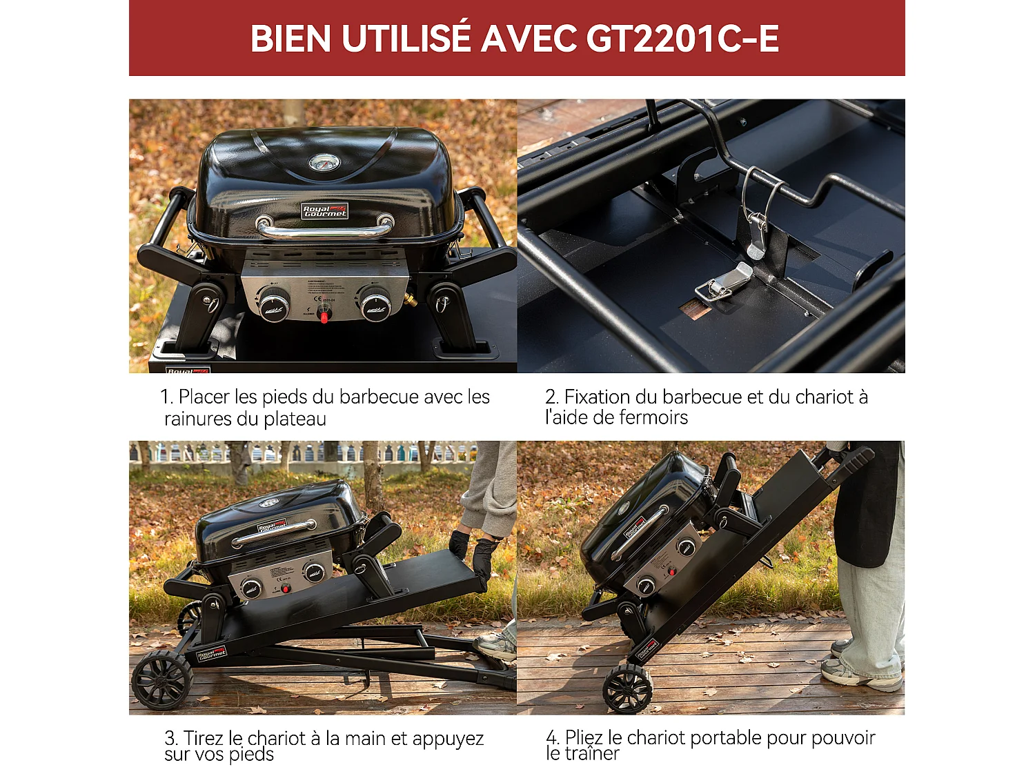 Barbecue Gaz Portable Dont Chariot Détachable Royal Gourmet - 2 Brûleurs Puissance 5kW, Surface Cuisson 48 x 37 cm