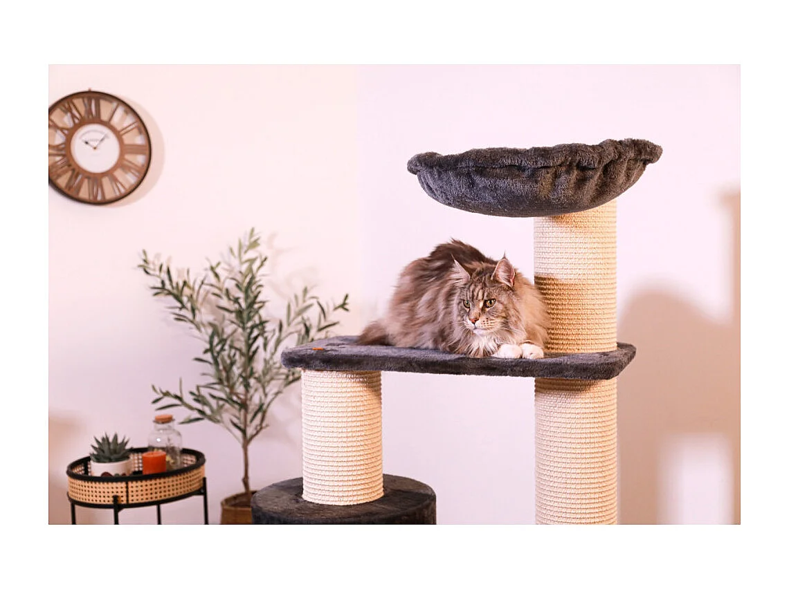 Arbre à chat Big Cat 3 H 134.5 cm pour grands chats