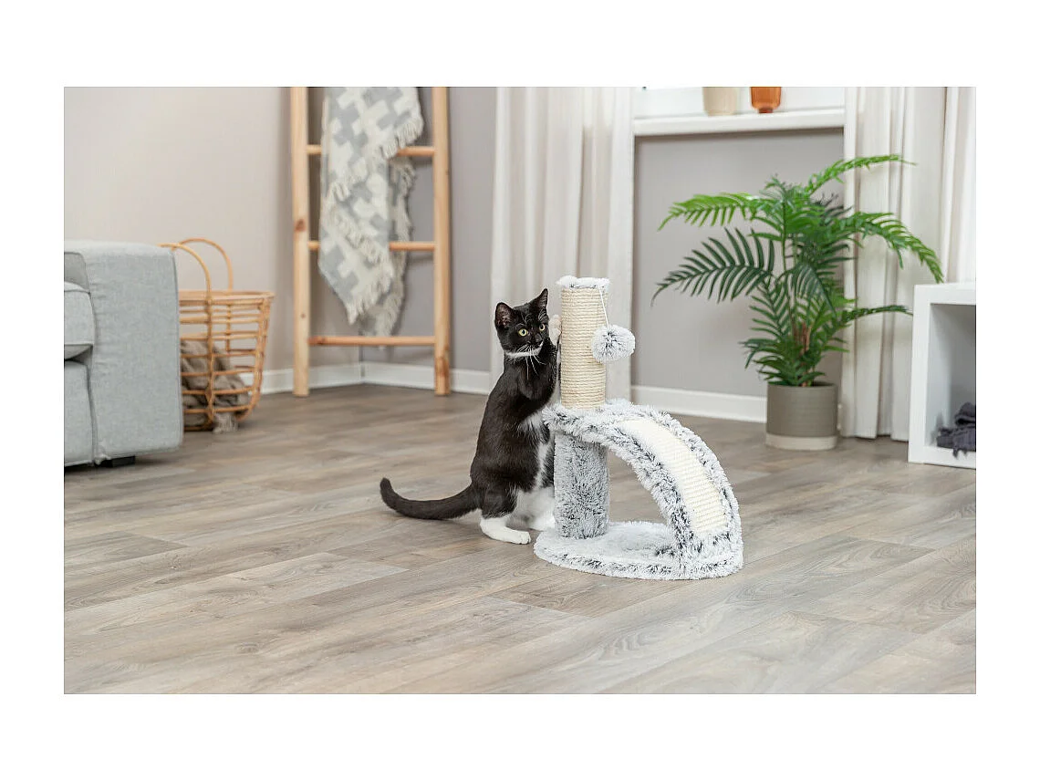 Poteau griffoir Winnie 25 × 35 cm, Hauteur : 43 cm pour chaton