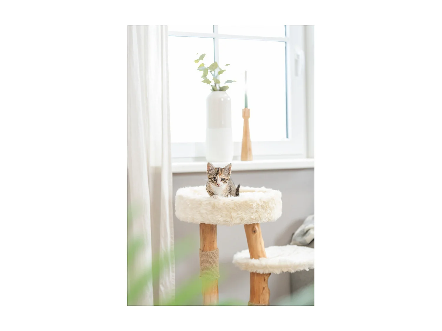 Arbre à chat Santo hauteur 73 cm pour chat