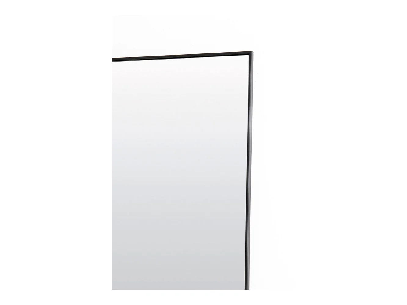 Spiegel ZENETA - 50x1,5x170cm - Klar