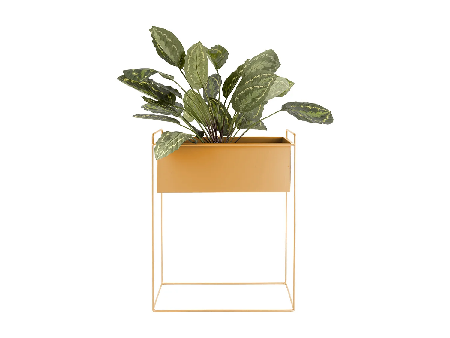 Ensemble de pots de fleurs Essence Straight - Jaune ocre