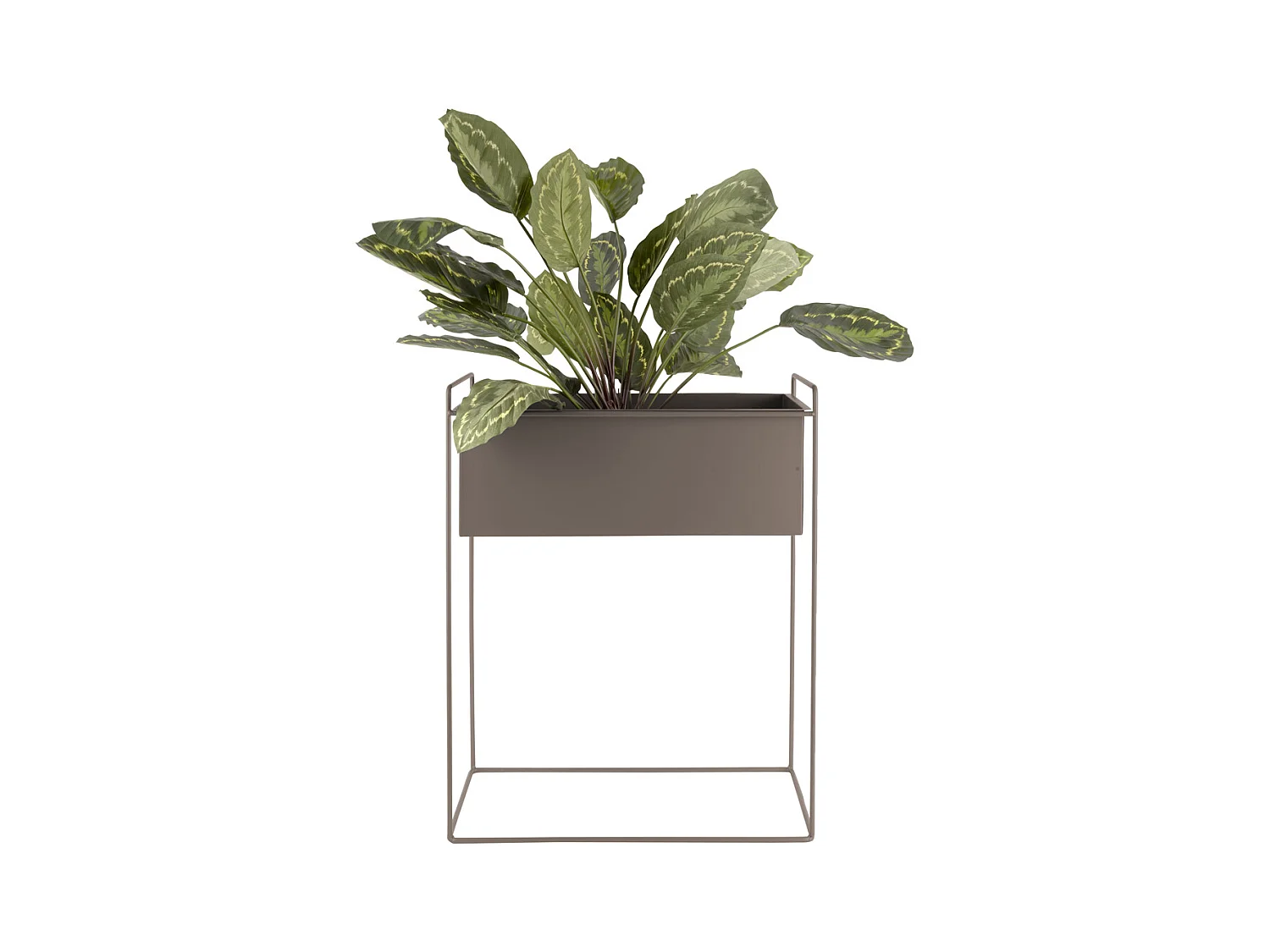 Blumentopf-Set Essence Straight - Dunkelgrau