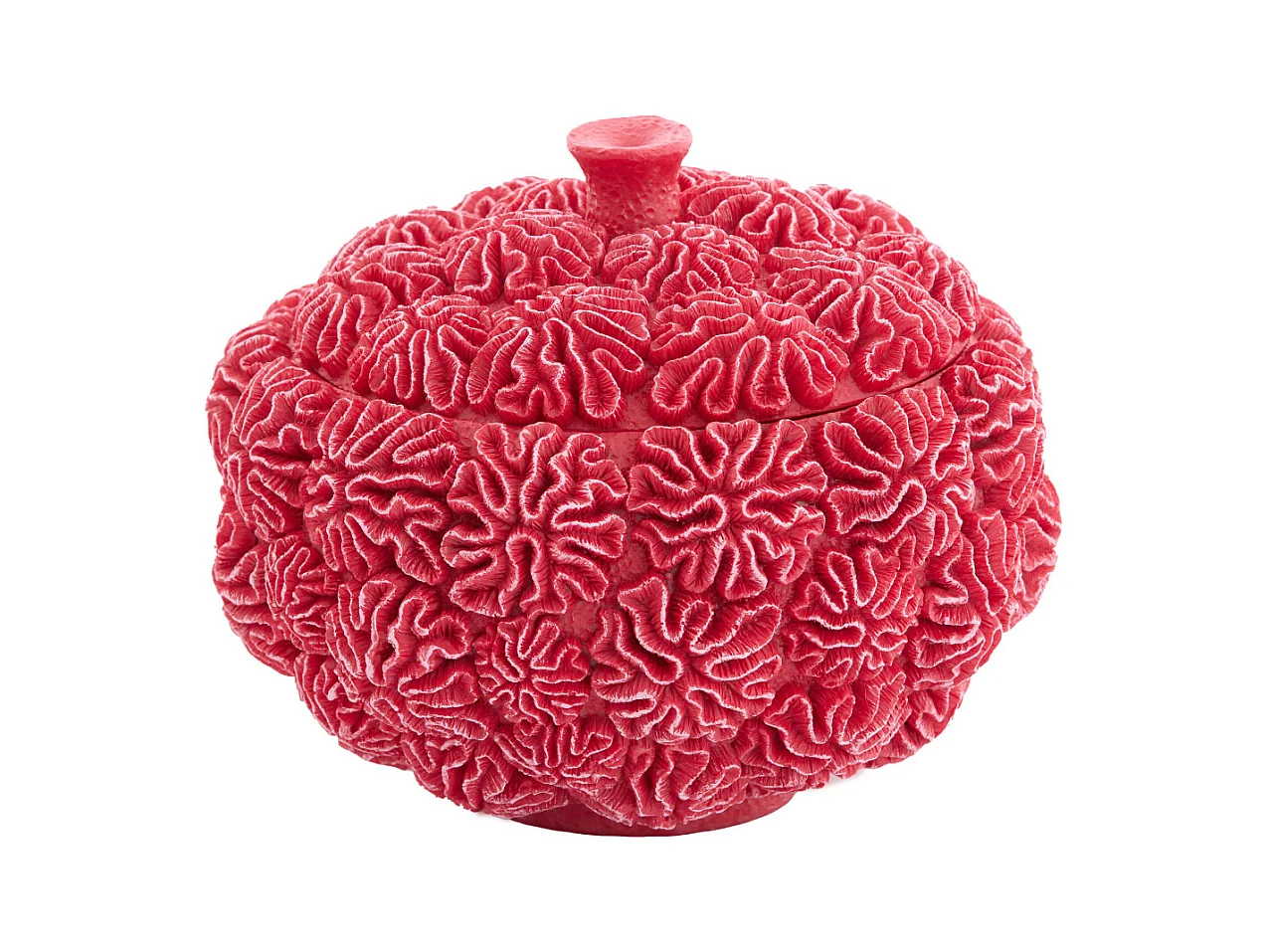 Boîte déco + couvercle CORAIL - Ø20x15,5cm - Rouge