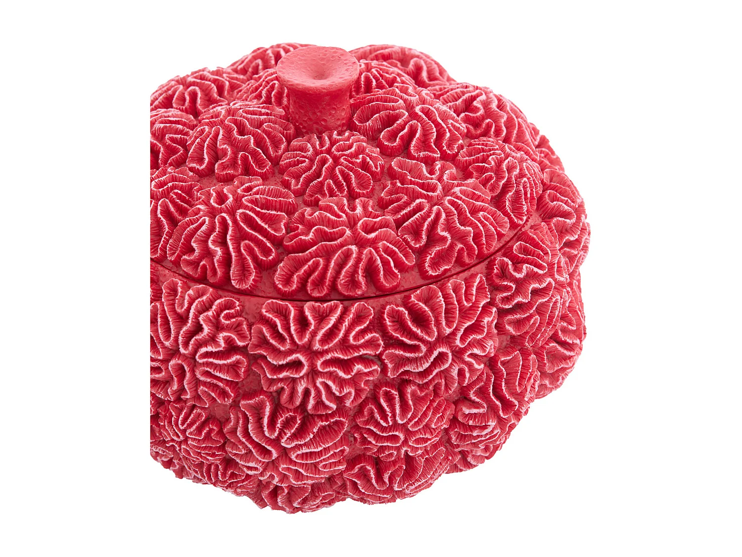 Caja decorativa + tapa CORAL - Ø20x15,5cm - Rojo