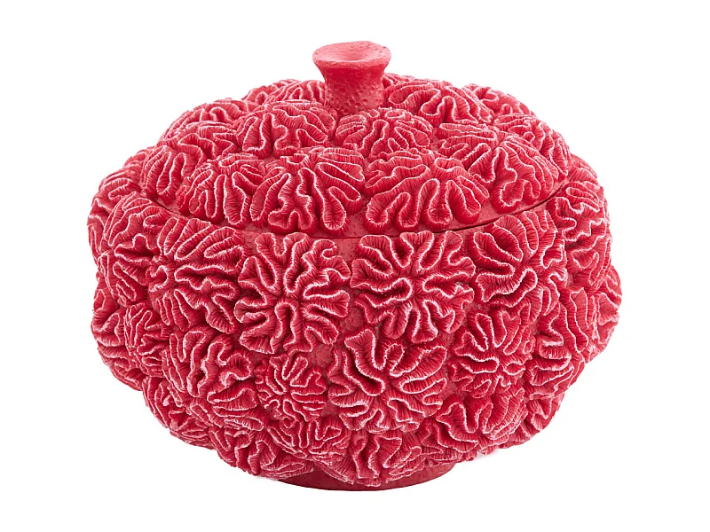 Boîte déco + couvercle CORAIL - Ø20x15,5cm - Rouge