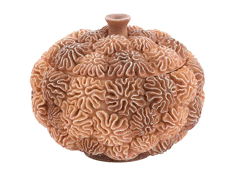 Dekobox + Deckel CORAL - Ø20x15,5cm - Braun