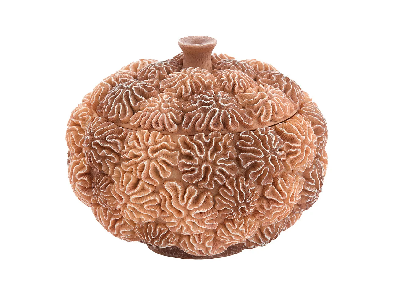 Boîte déco + couvercle CORAIL - Ø20x15,5cm - Marron