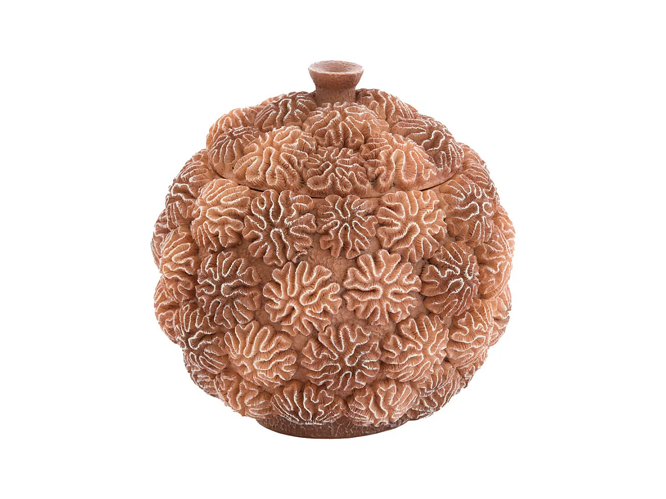 Boîte déco + couvercle CORAIL - Ø17x16cm - Marron