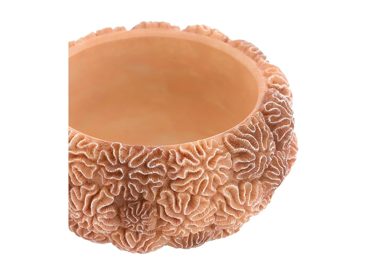 Boîte déco + couvercle CORAIL - Ø17x16cm - Marron