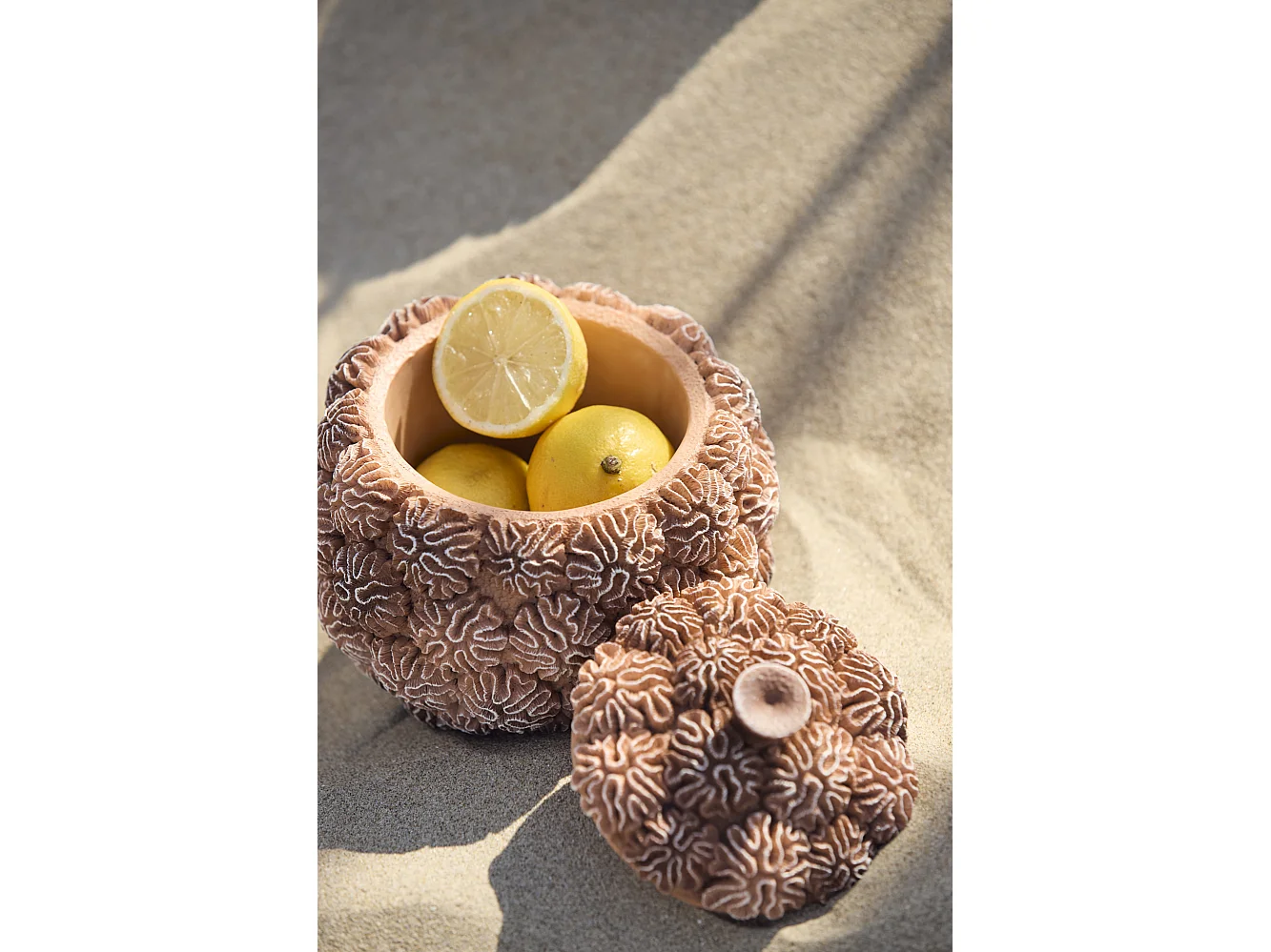 Boîte déco + couvercle CORAIL - Ø17x16cm - Marron