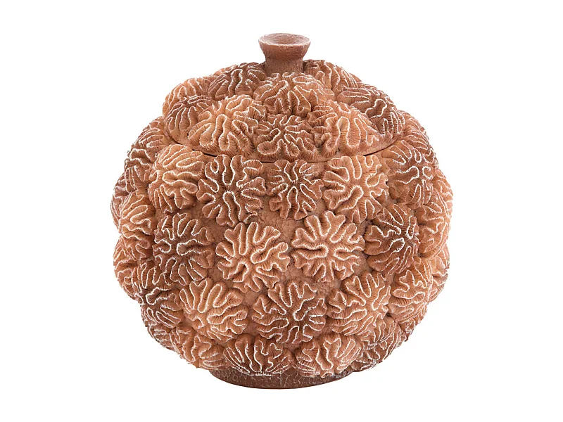 Boîte déco + couvercle CORAIL - Ø17x16cm - Marron