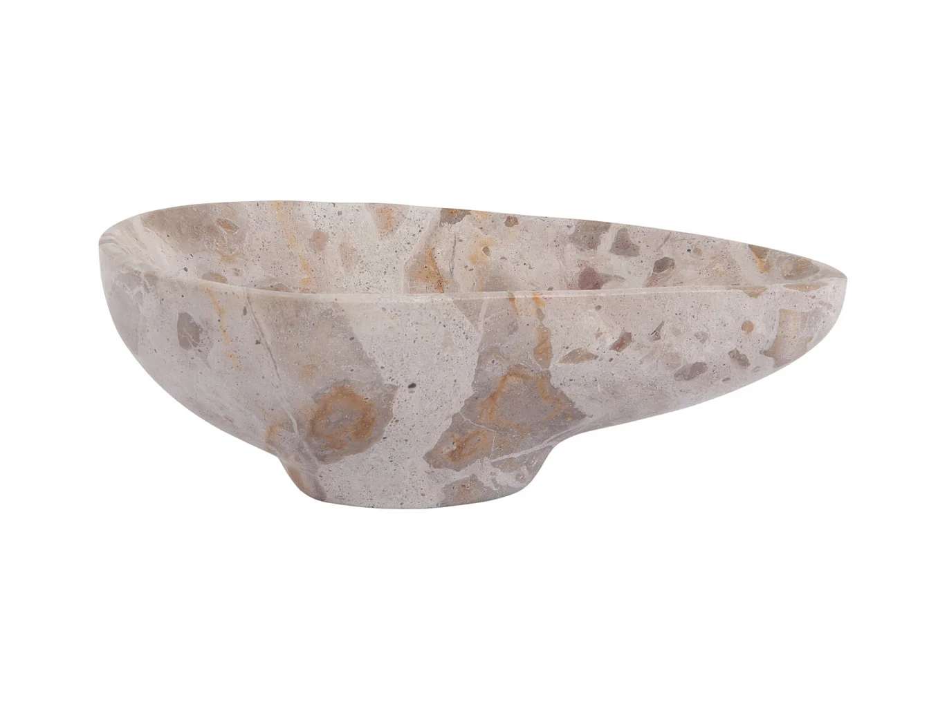 Échelle biologique - Marron