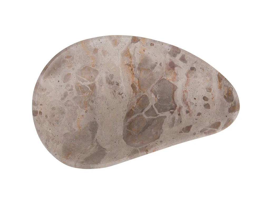 Échelle biologique - Marron