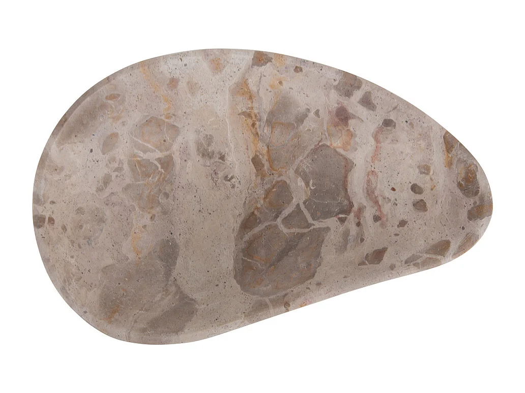 Échelle biologique - Marron