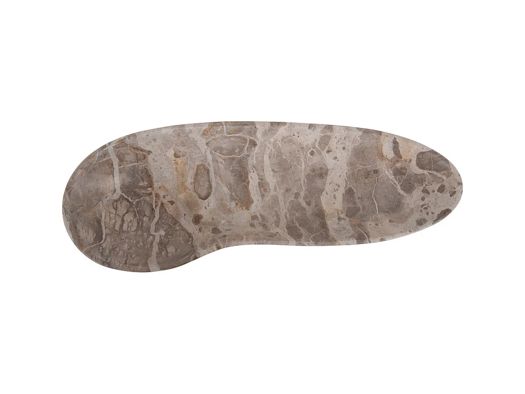 Échelle biologique grande taille - Marron