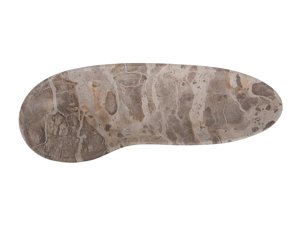 Échelle biologique grande taille - Marron