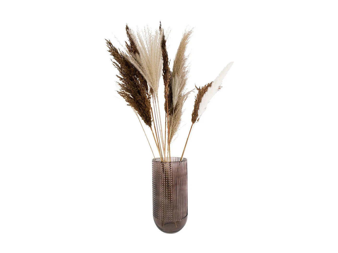 Vaas Attract Large - Chocoladebruin