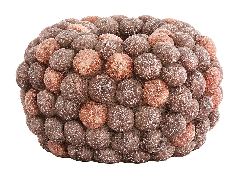 Vaas SEA URCHIN - Ø40x23.5cm - Rood