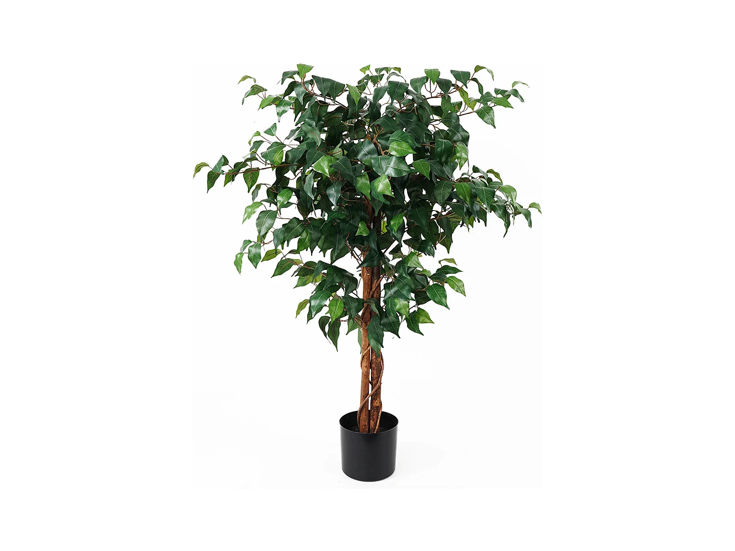Plante artificielle Ficus - Vert