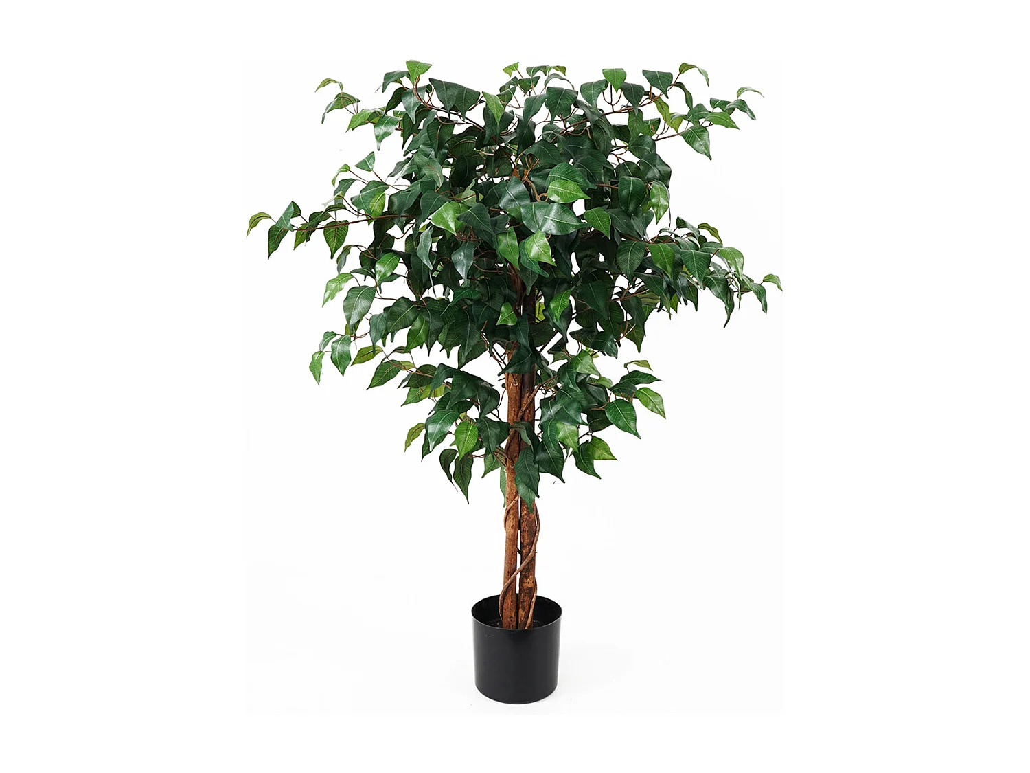 Künstliche Pflanze Feige Ficus - Grün