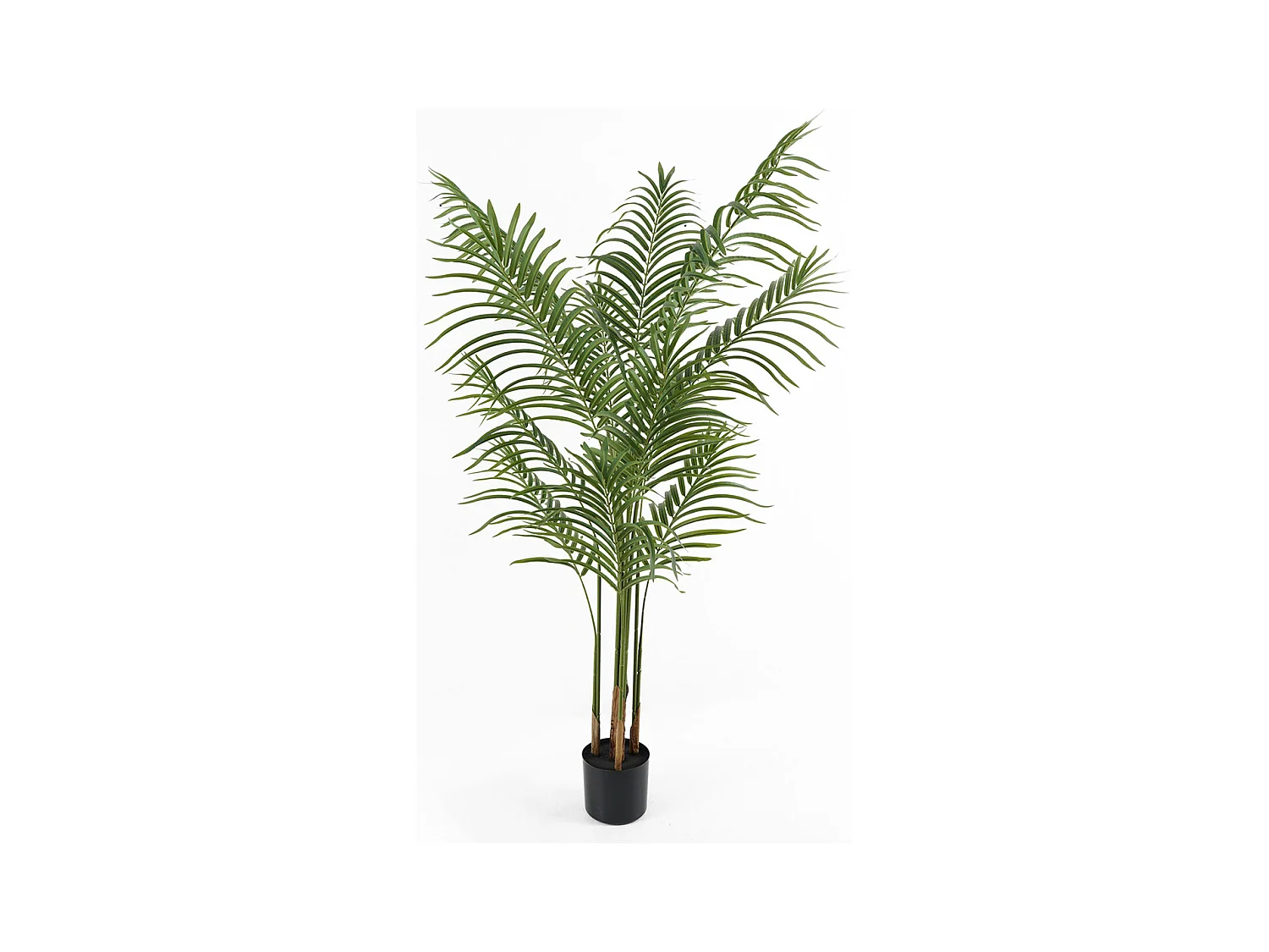 Plante artificielle Kwai Tree - Vert