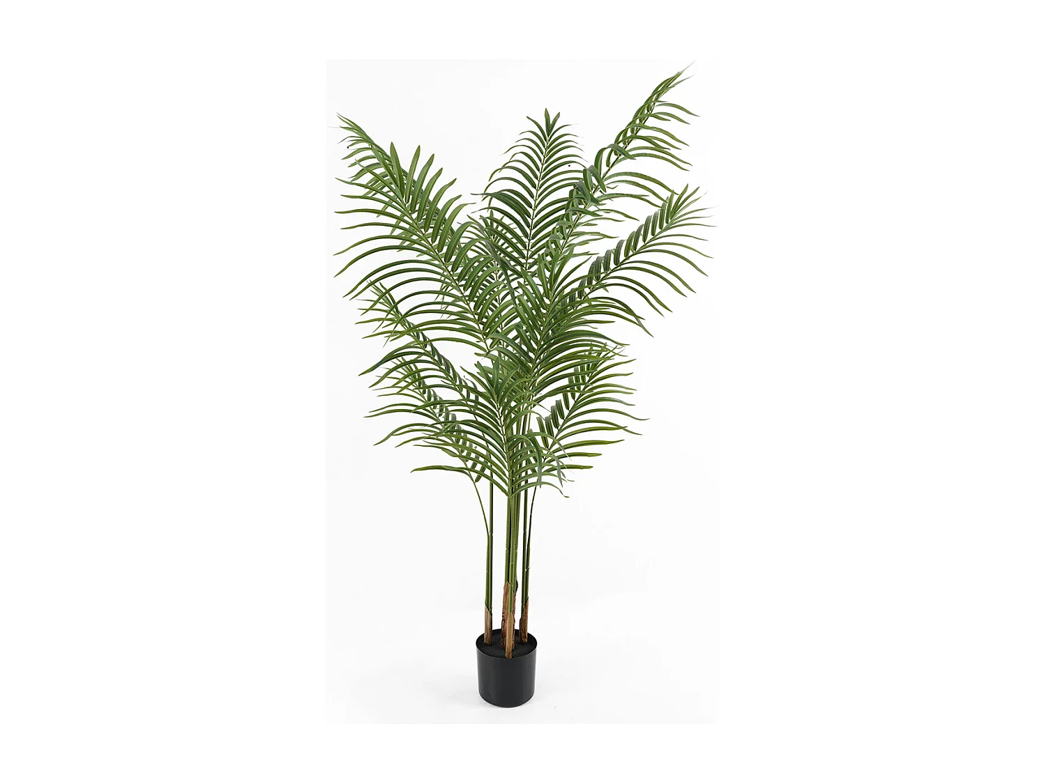 Plante artificielle Kwai Tree - Vert