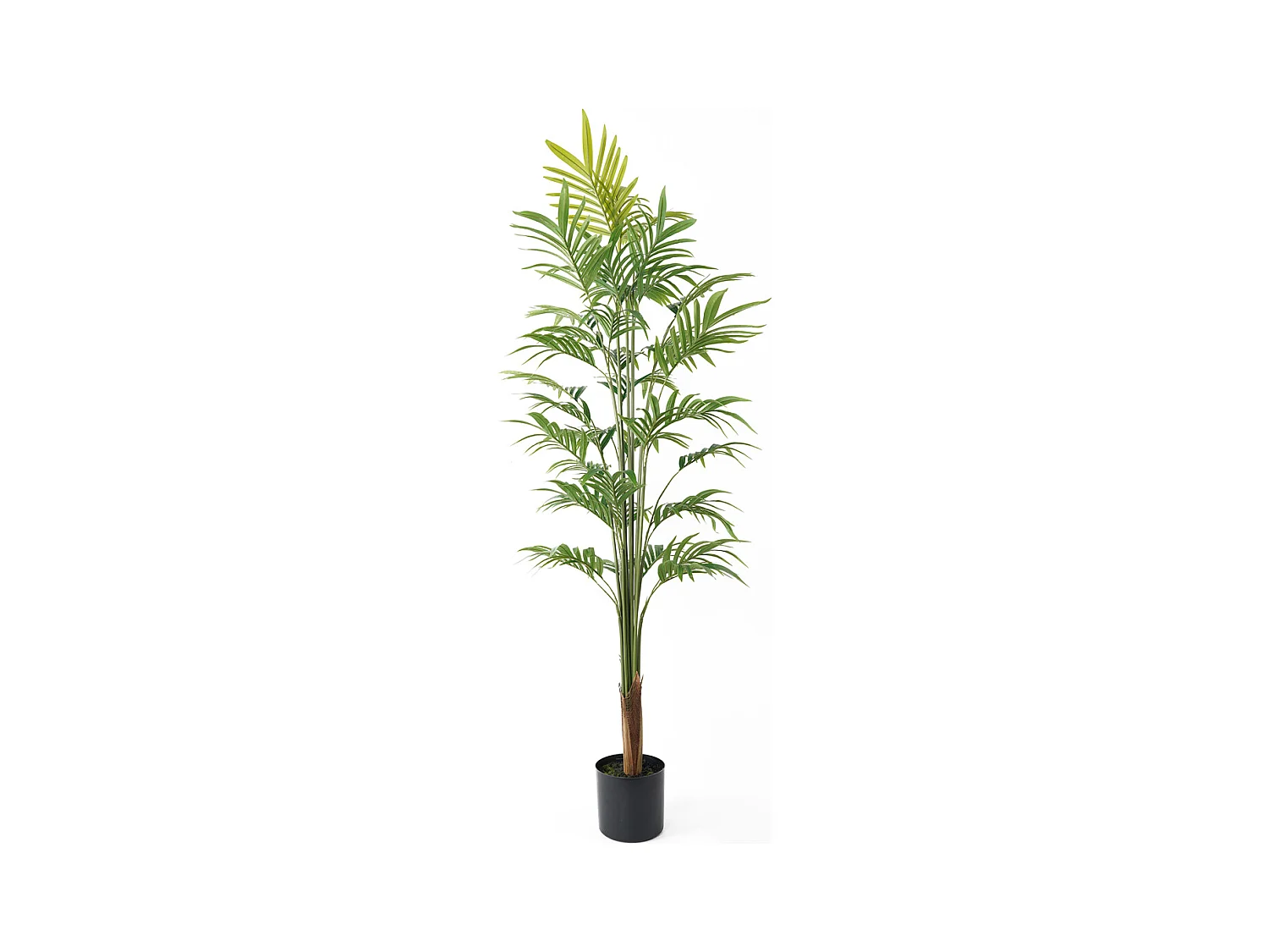 Plante artificielle Palmier doré Grand - Vert