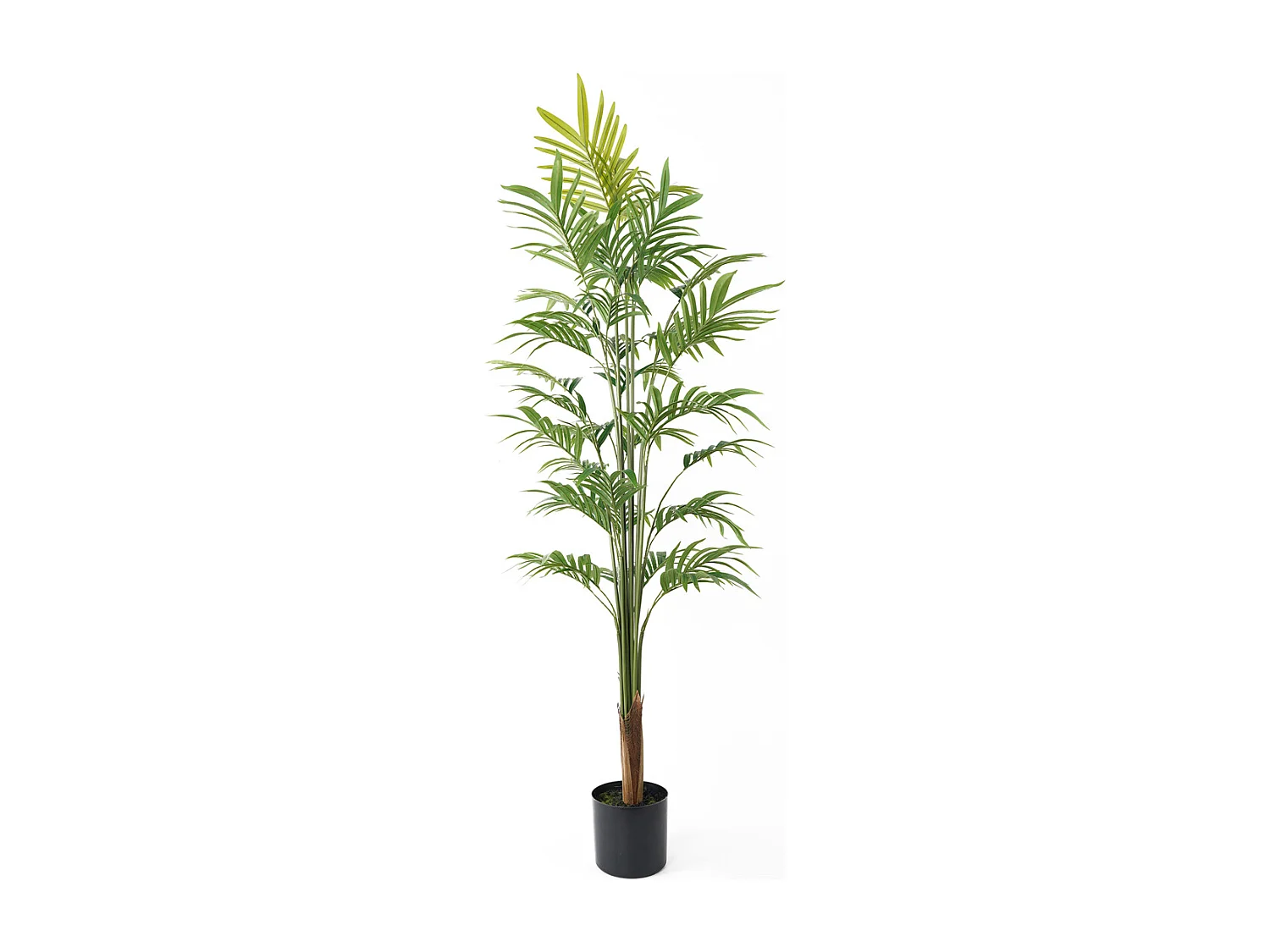 Plante artificielle Palmier doré Grand - Vert