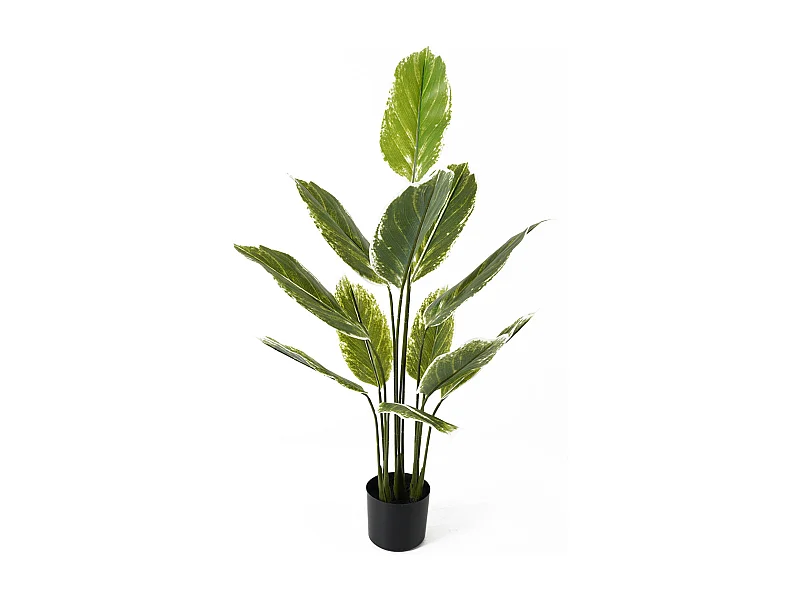 Plante artificielle Calathea Large - Vert