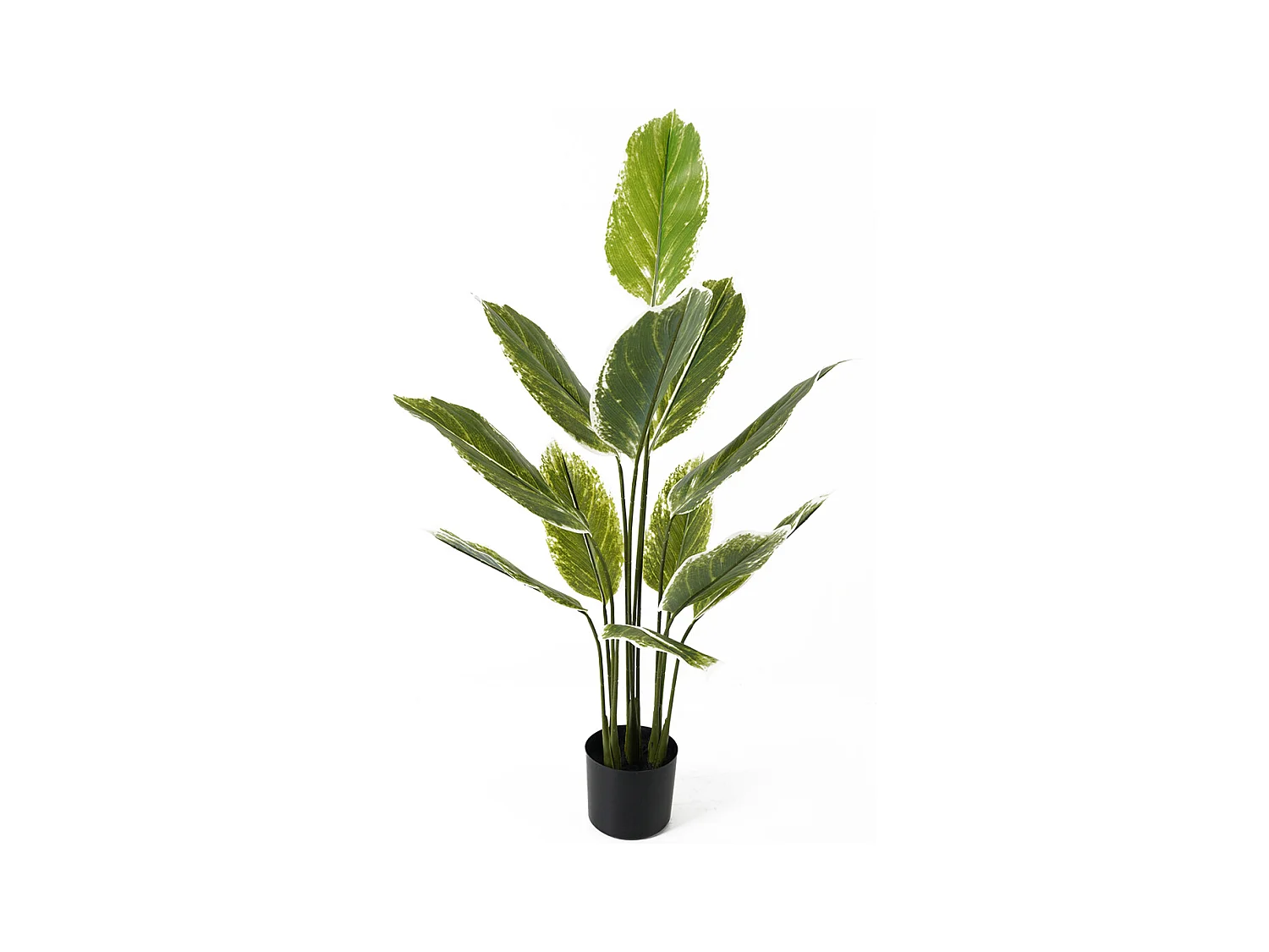 Plante artificielle Calathea Large - Vert