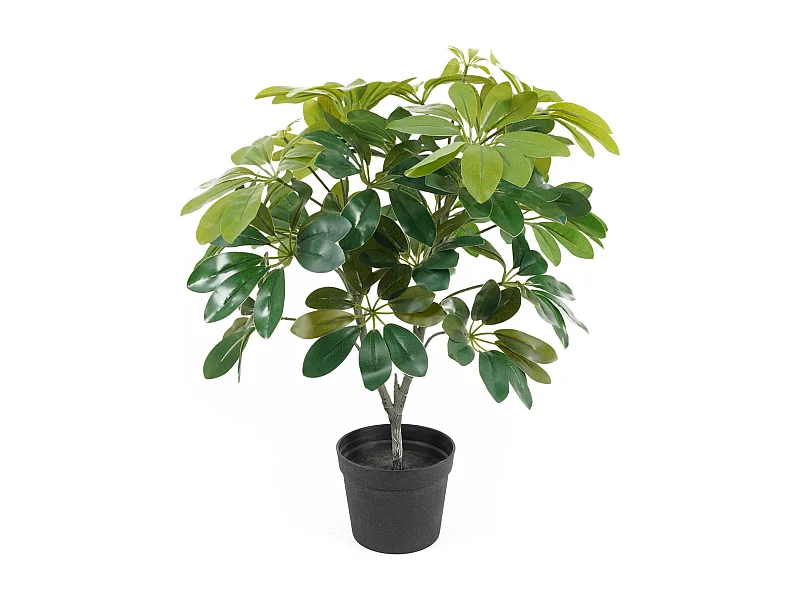 Sztuczna roślina Shefflera - Zielona