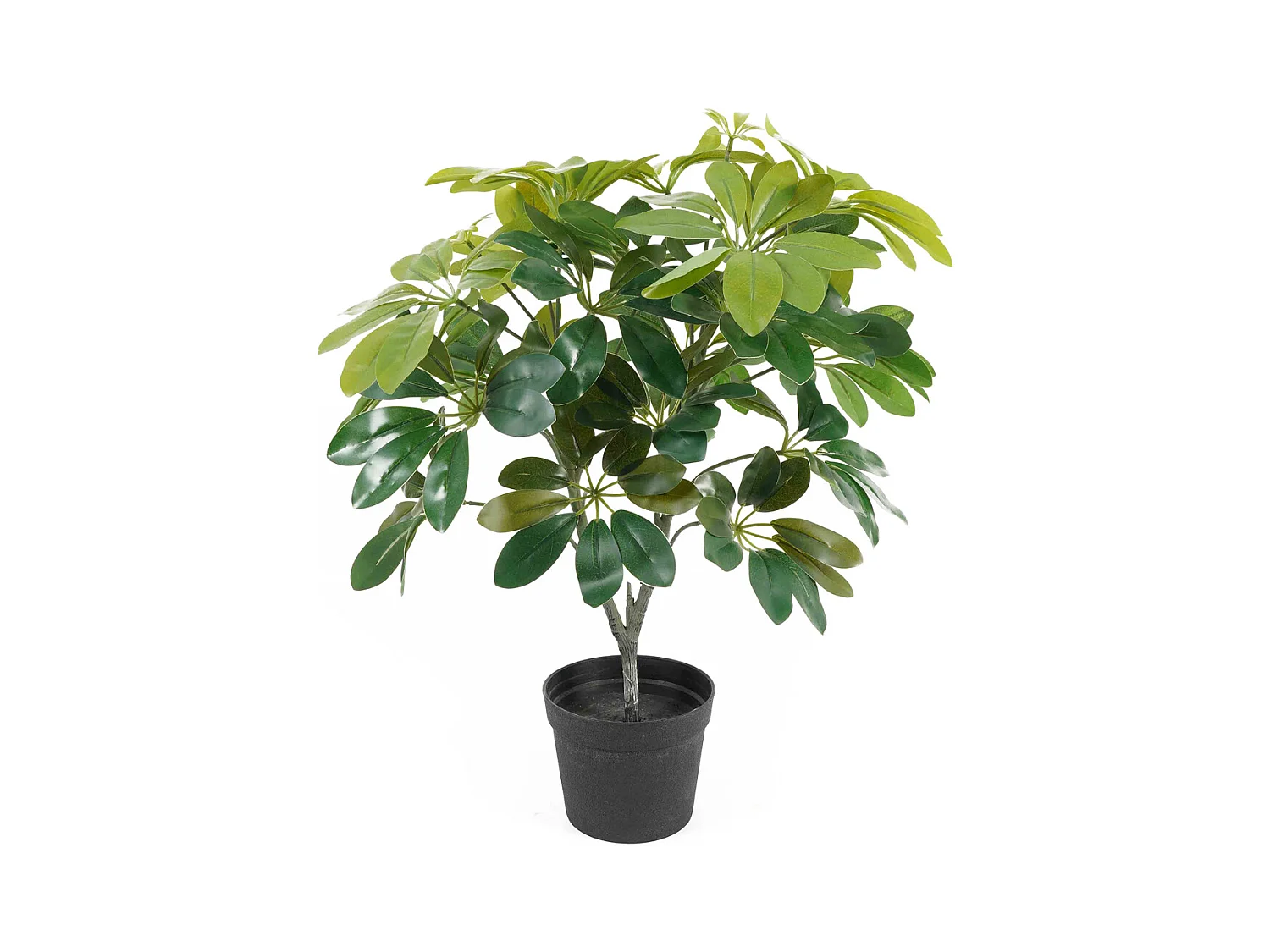 Sztuczna roślina Shefflera - Zielona