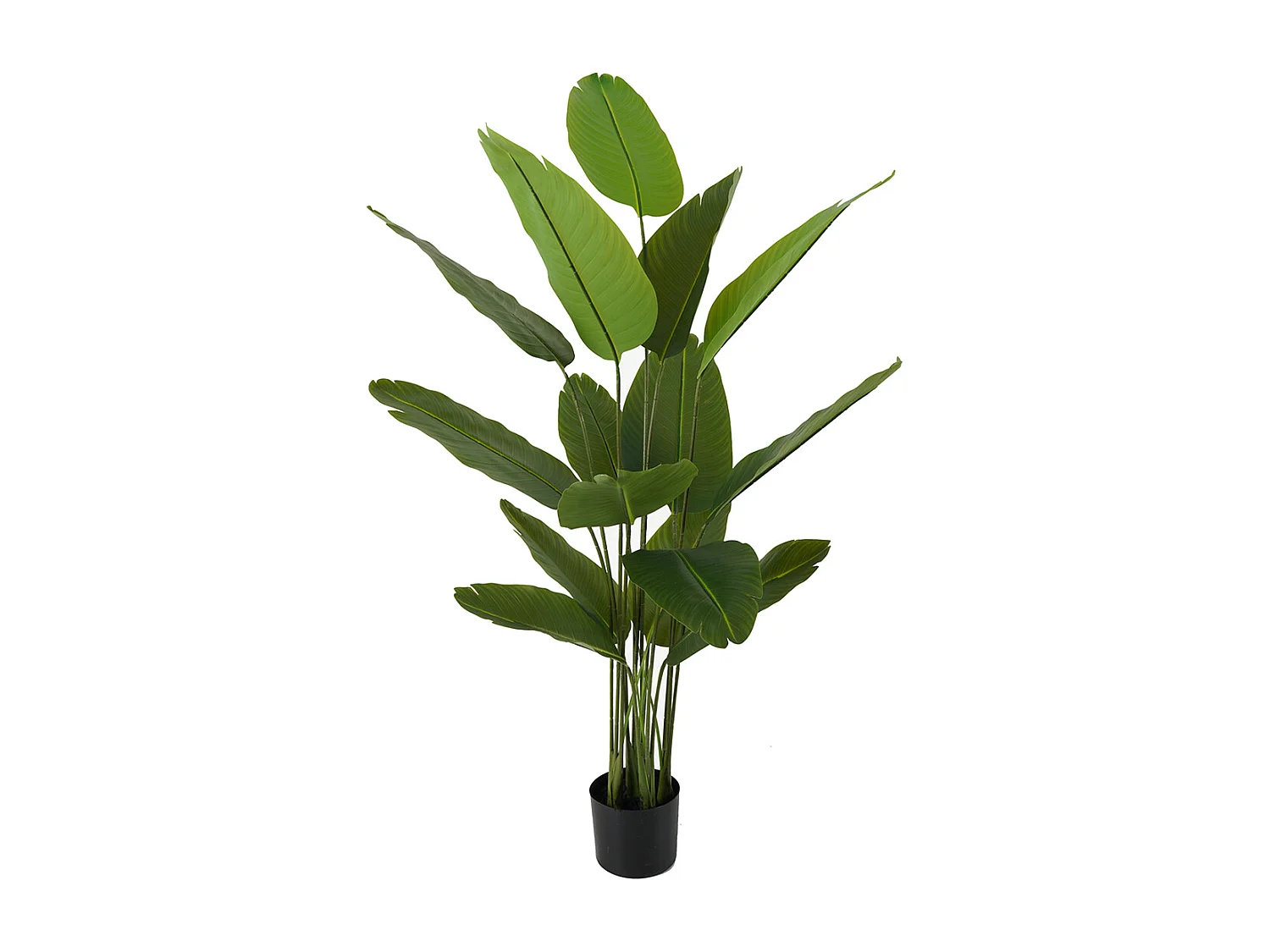 Künstliche Pflanze Canna - Grün