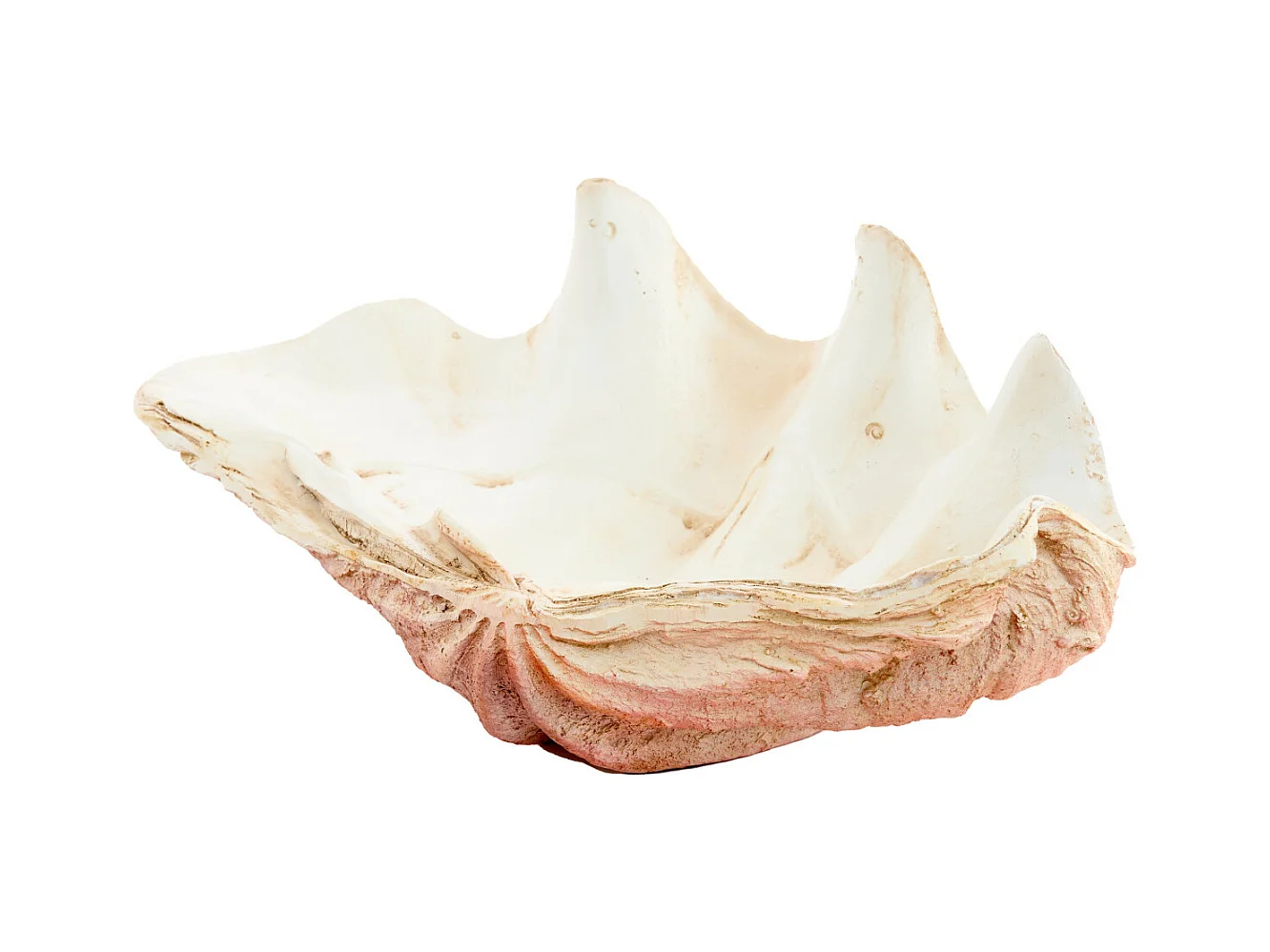 Ornement COQUILLAGE - 41x25x17cm - Orange