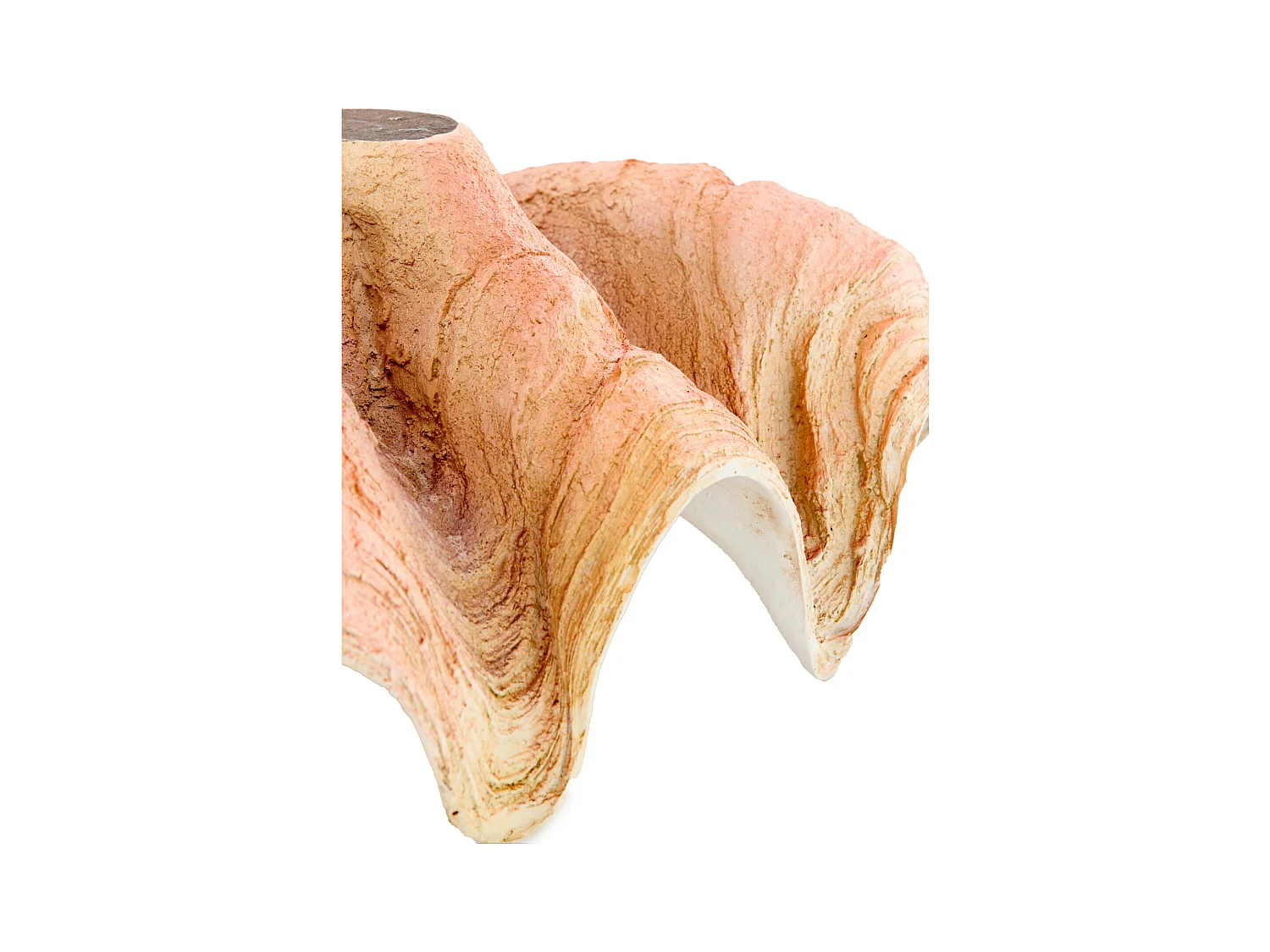 Ornement COQUILLAGE - 41x25x17cm - Orange