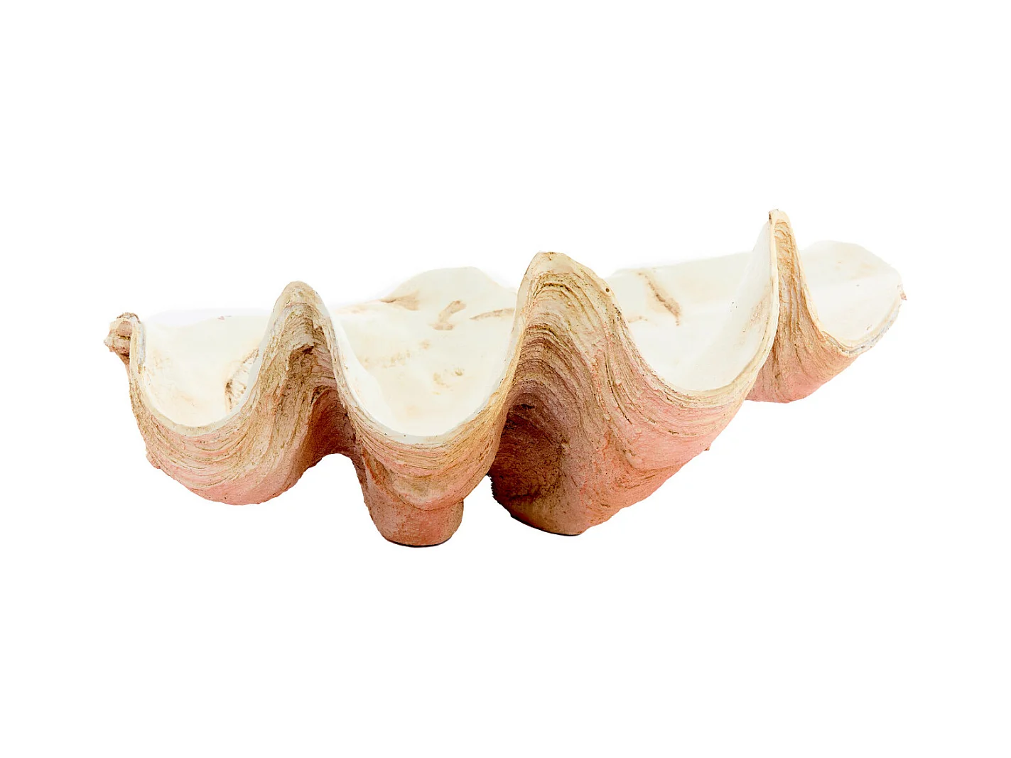 Ornement COQUILLAGE - 41x25x17cm - Orange