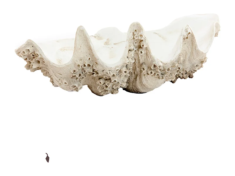 Adorno CONCHA - 52x28x18cm - Marrón