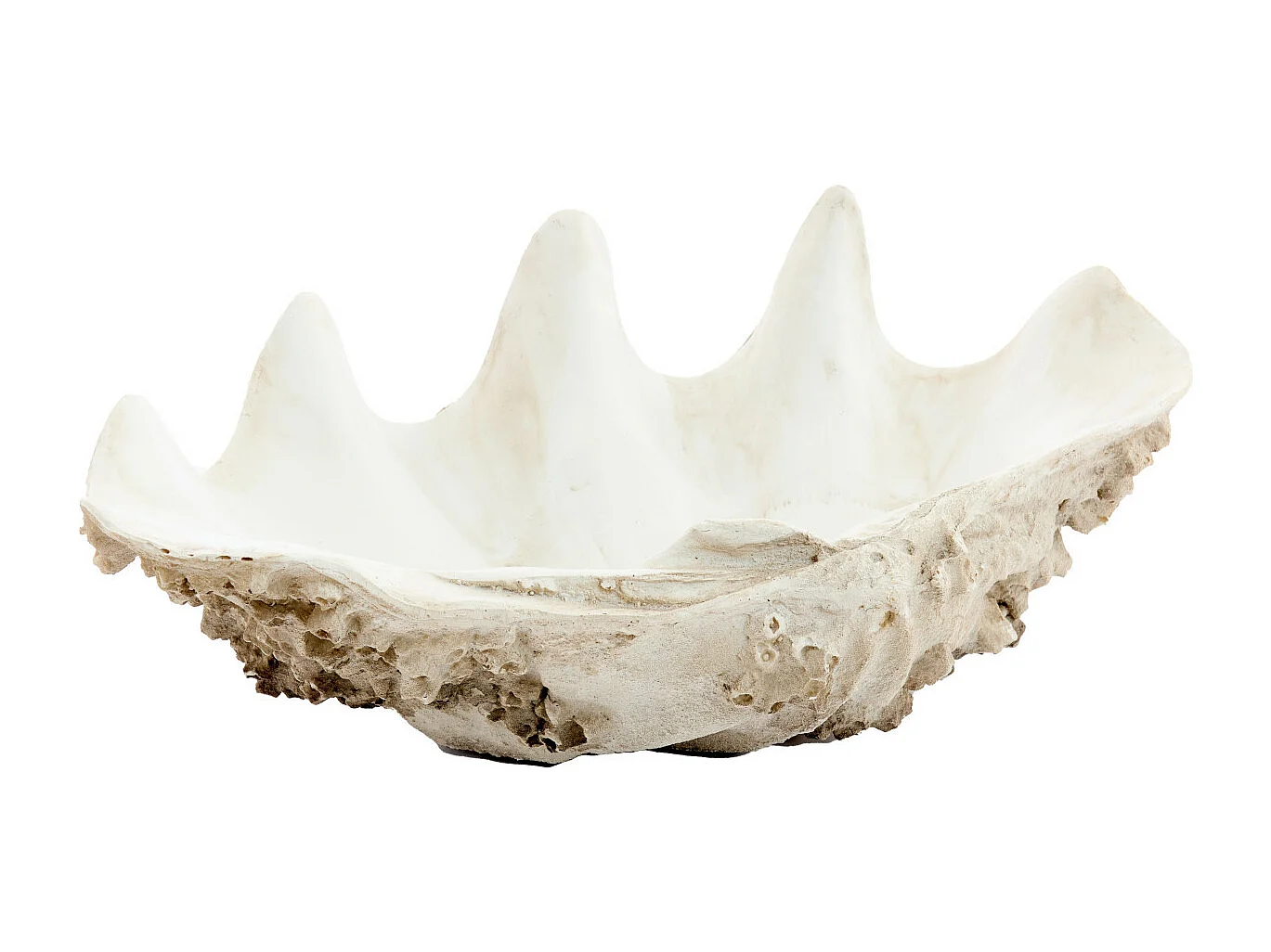 Adorno CONCHA - 52x28x18cm - Marrón