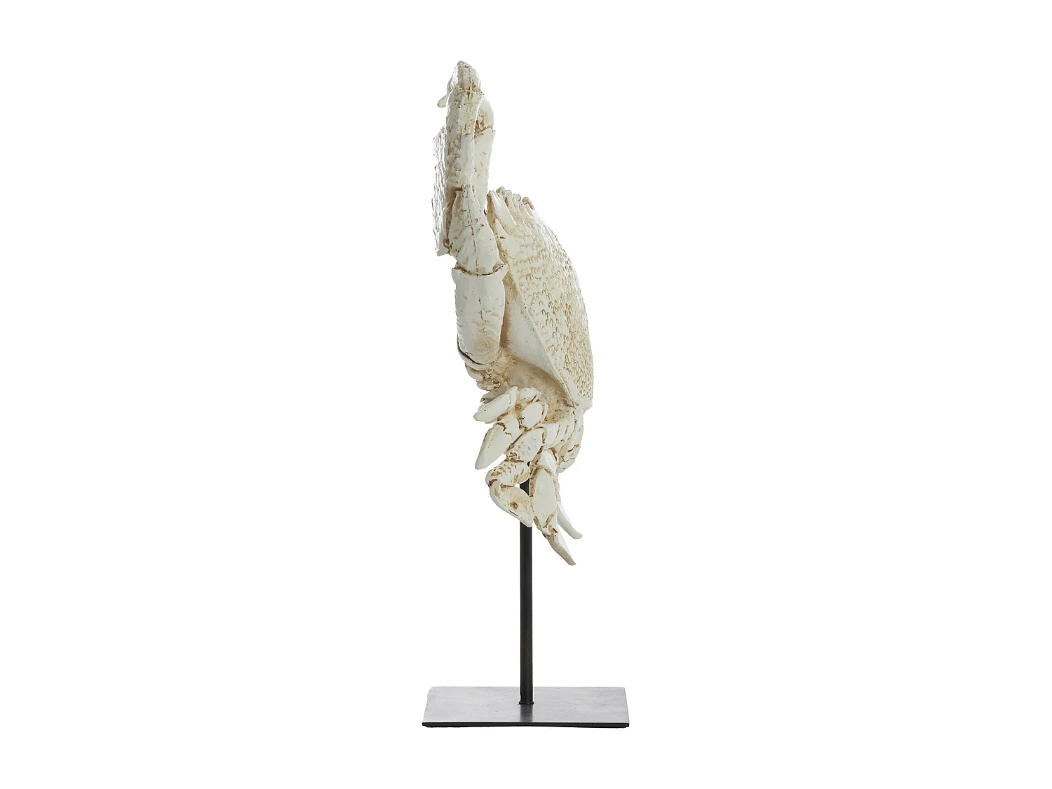 Ornement CRABE - 23x12,5x42,5cm - Blanc