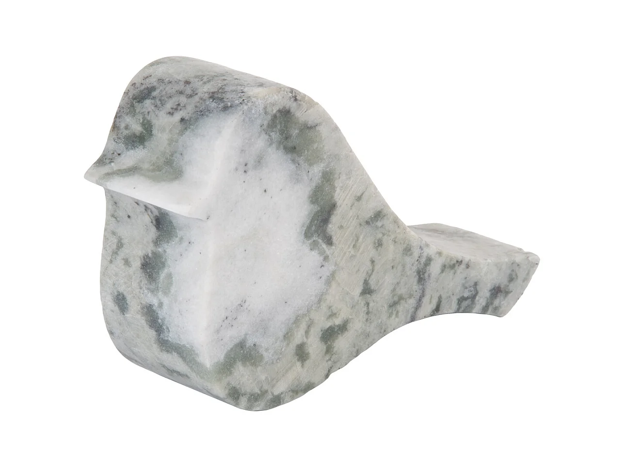 Image Oiseau Grand - Vert himalayen