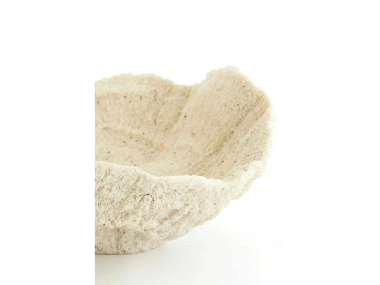 Ornament CORAL - 25x23x11cm - Wit